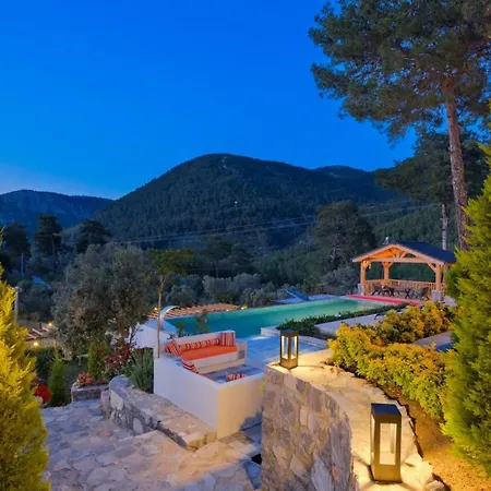 Sunsetpremiumgocek